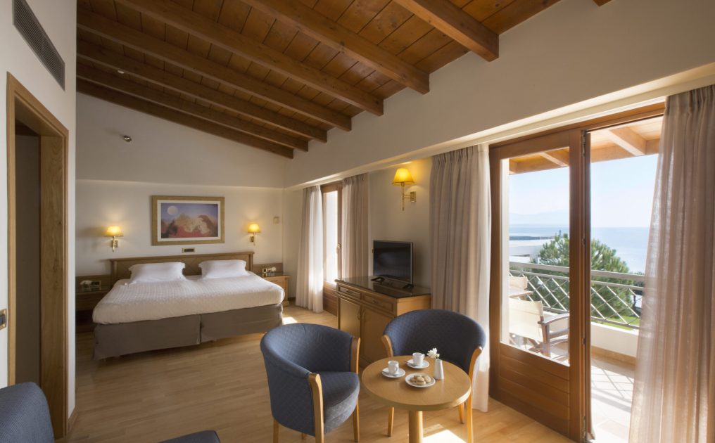 JUNIOR SUITE FIRE PLACE 2